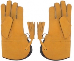 Falconry Gloves